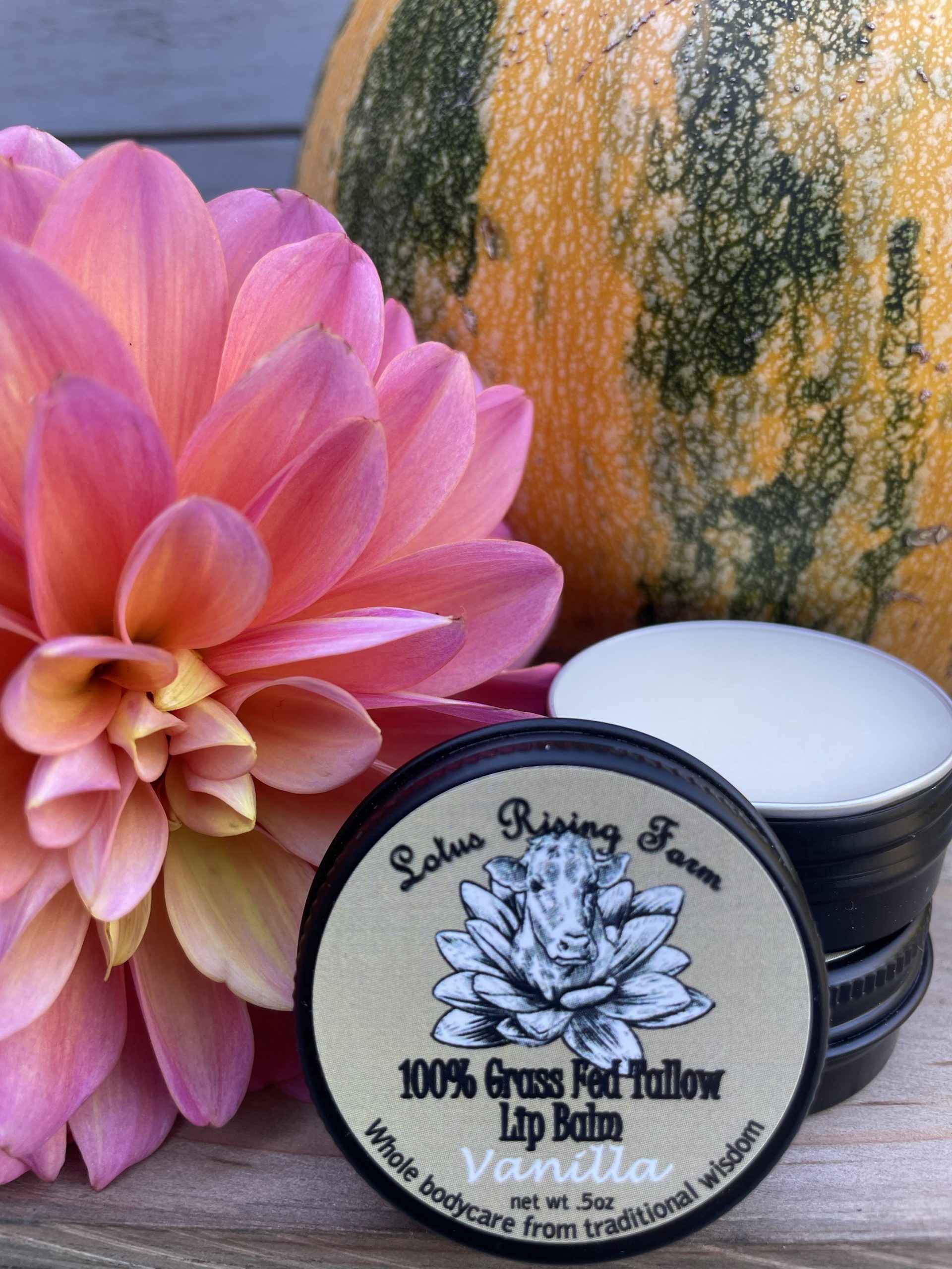 Tallow Lip Balm - Vanilla