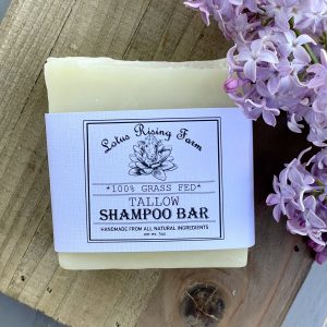 Shampoo Bars