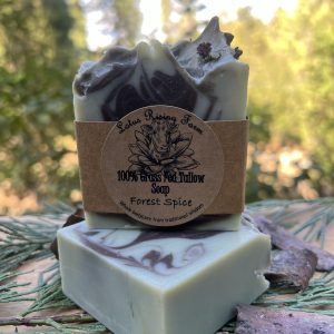 ***NEW*** Forest Spice Soap